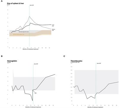 Promising Effect of High Dose Ambroxol Treatment on Neurocognition and Motor Development in a Patient With Neuropathic Gaucher Disease 2